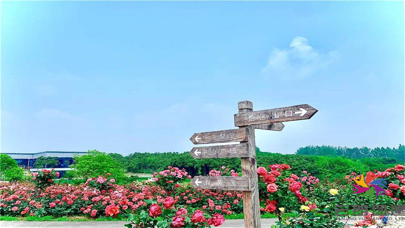 南京汤山月季园团建基地